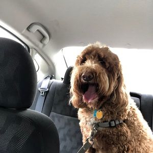 Meet your Posher, Scott